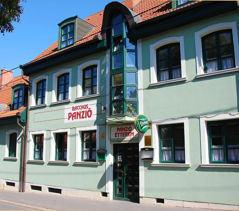 Bacchus Panzio location